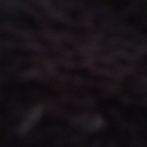 Meet your Posher, Aaliyah